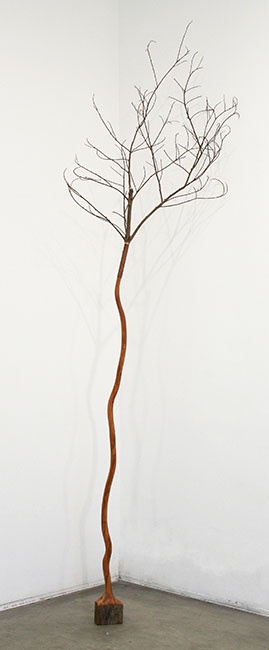 Árvore cipó I | 2010 | Madeira | 281 x 12 x 6 cm