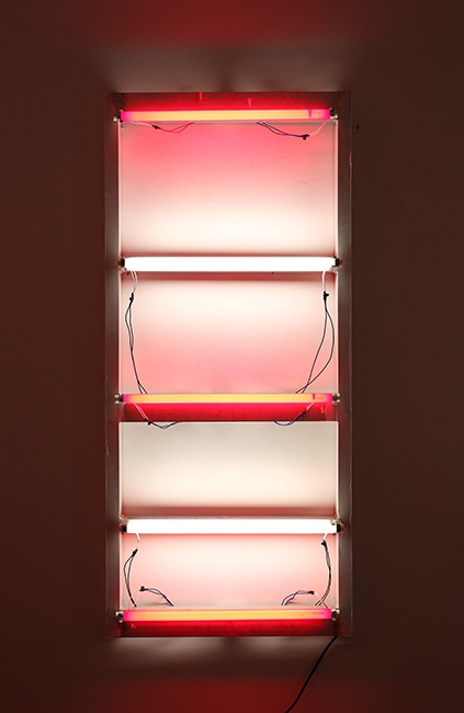 Domestic viability | 2010 | Acrílico sobre alumínio e lâmpadas fluorescentes | 150 x 68 x 13 cm