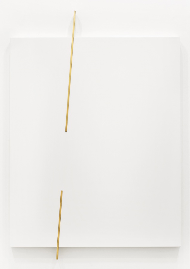 Sem título (Relevo "D") | 2013 | Esmalte acrílico sobre MDF e latão polido | 102 x 70 cm